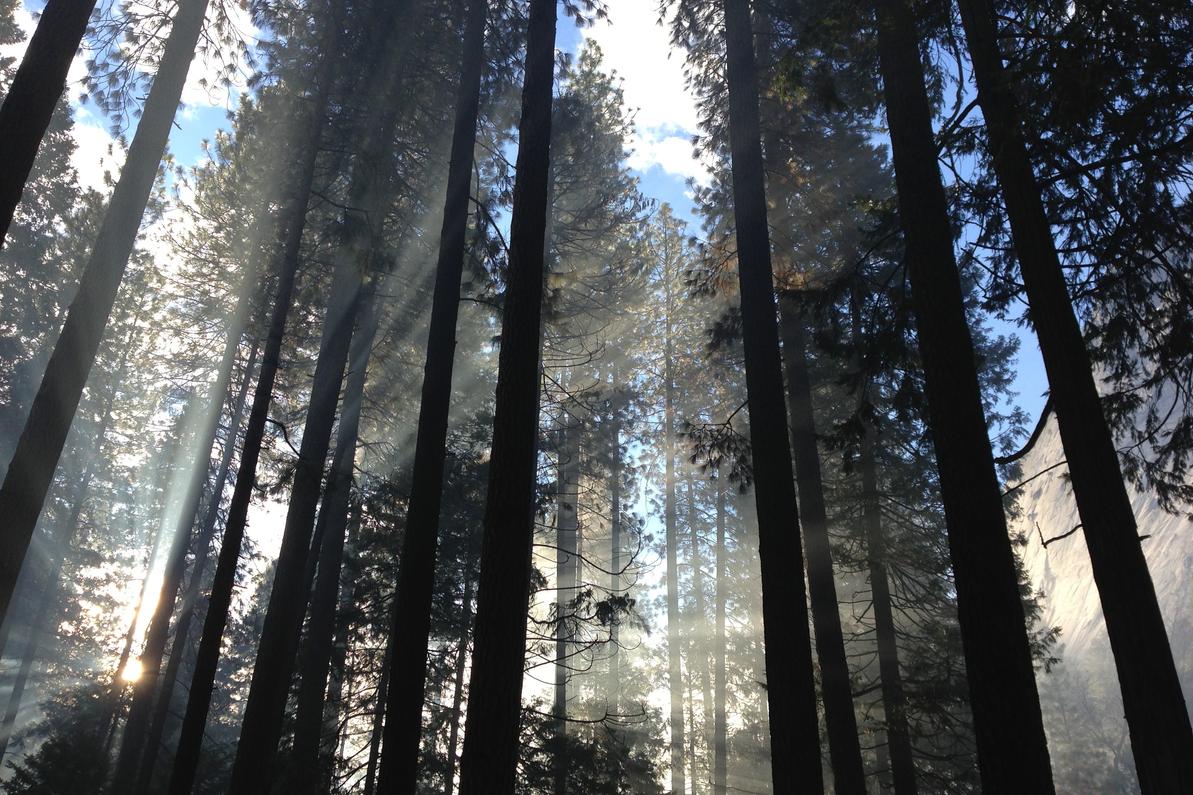 Architecto molestiae voluptas nihil